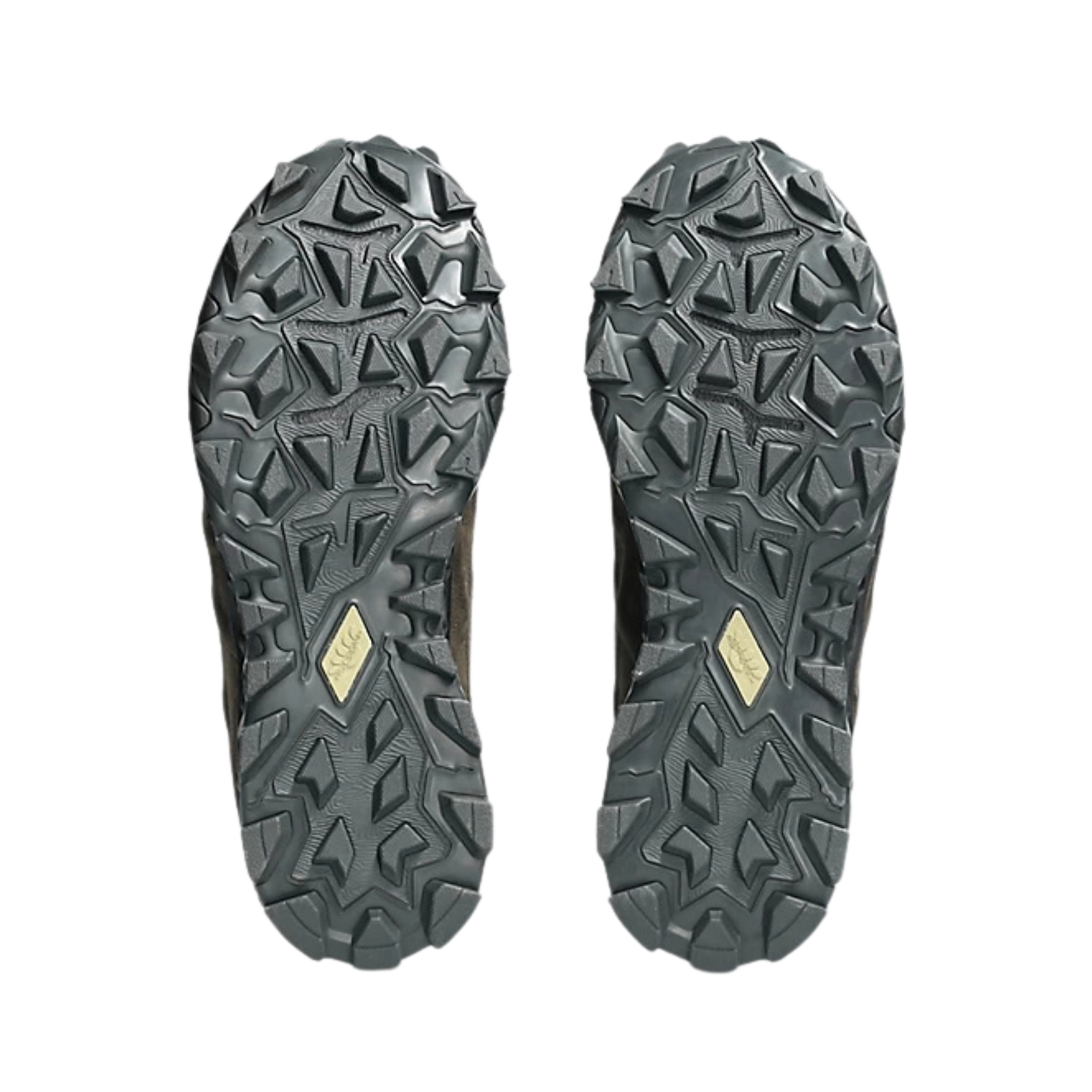 ASICS GEL-TRANSCEND FJ