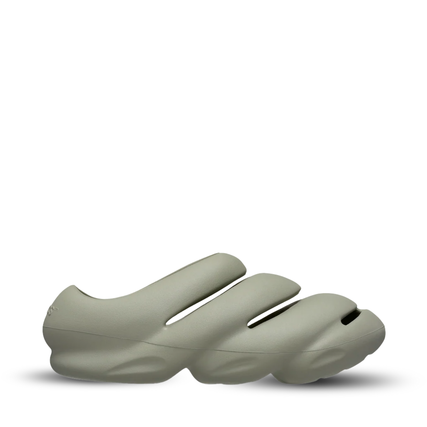 CROCS ROY