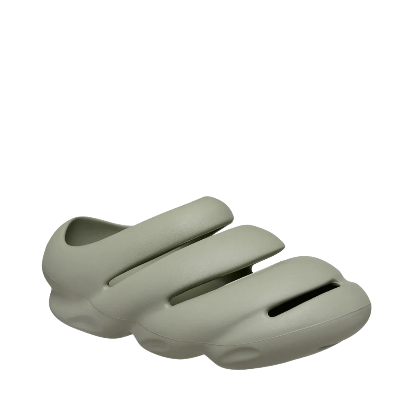 CROCS ROY