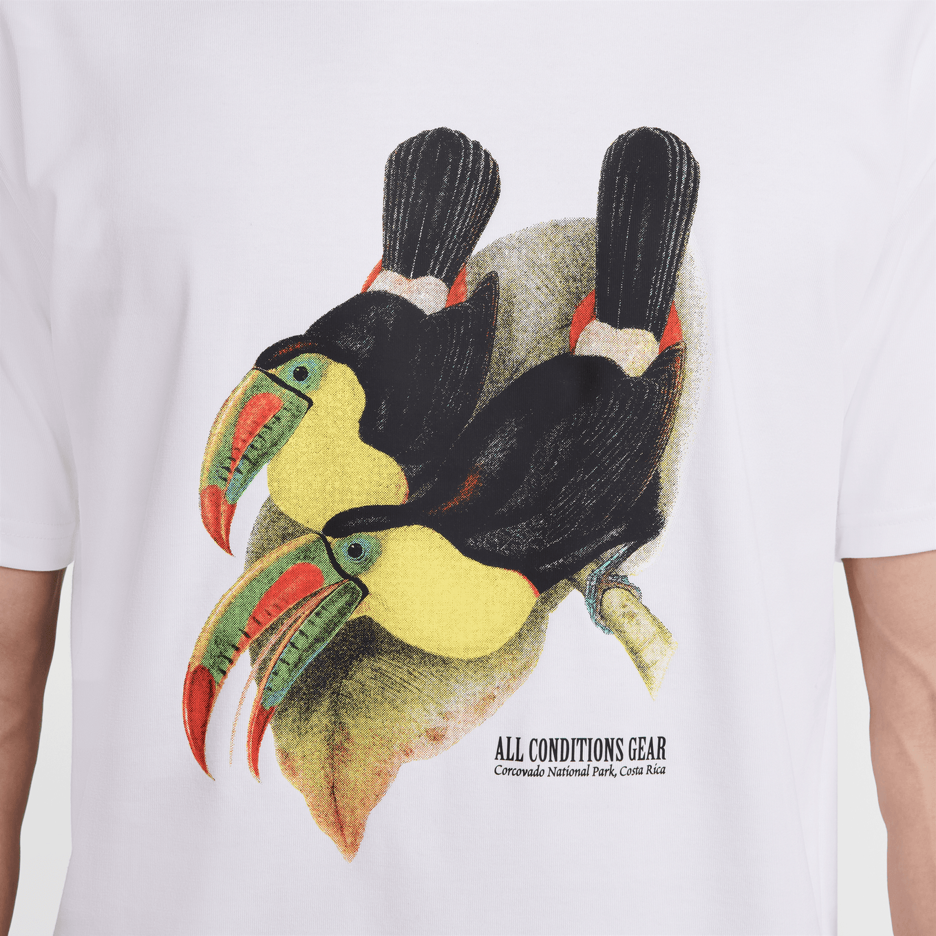 NIKE AS M ACG DF TEE TOUCAN