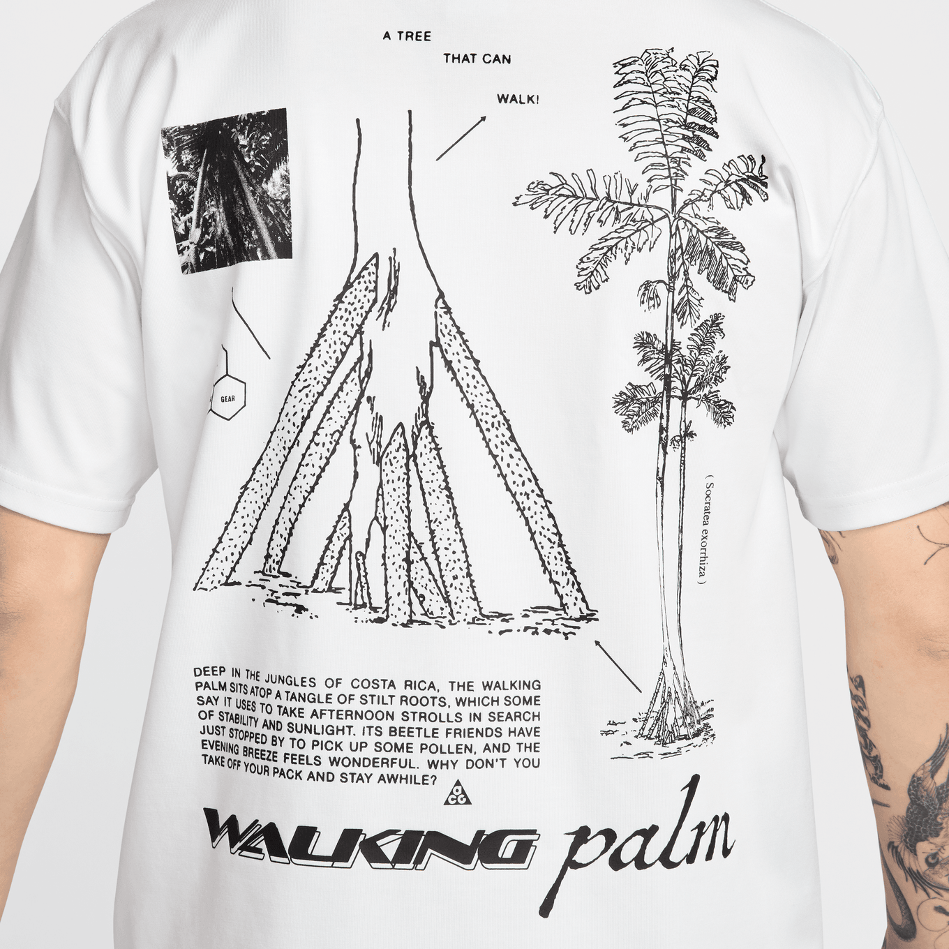 NIKE AS M ACG DF TEE OC WALK TR