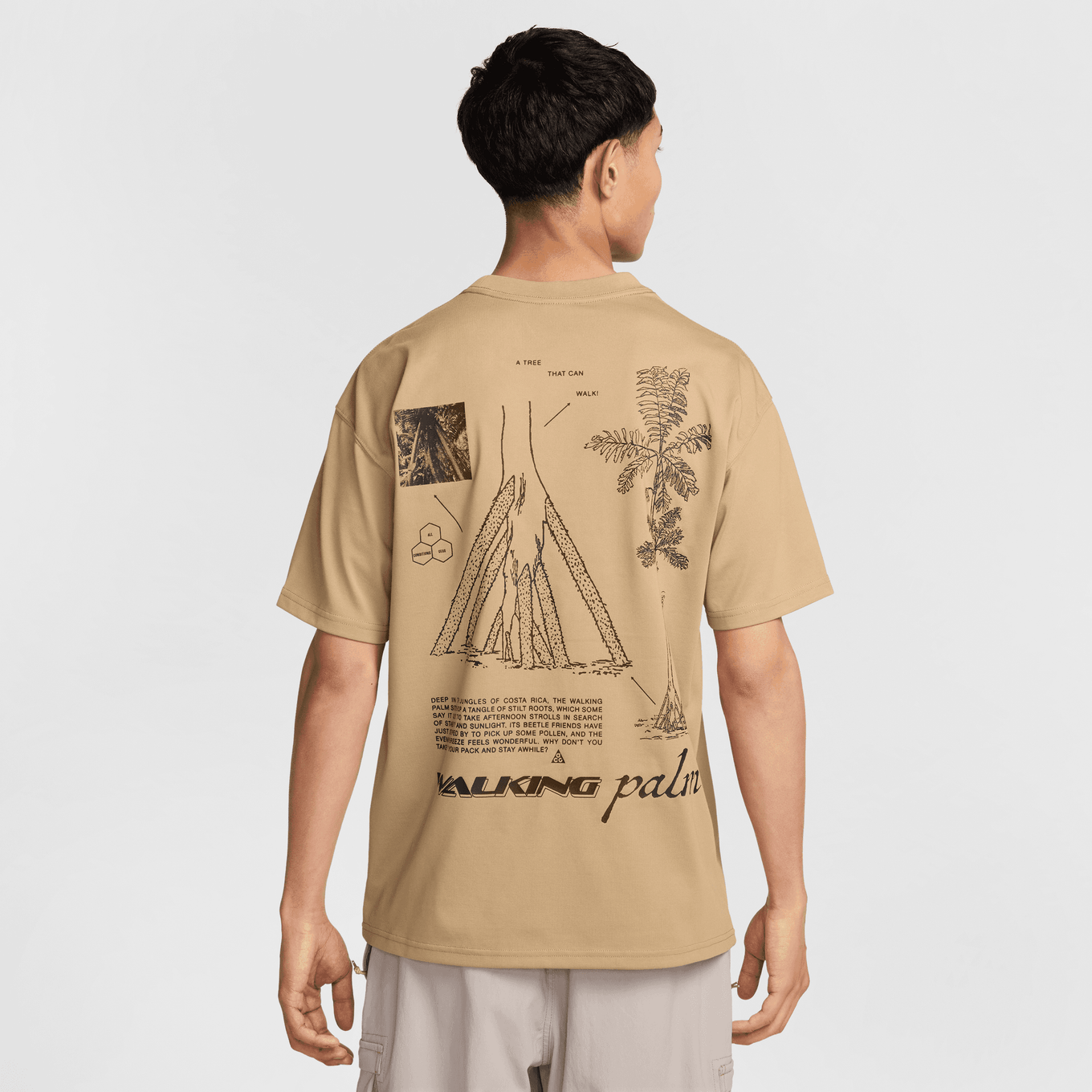 NIKE AS M ACG DF TEE OC WALK TR