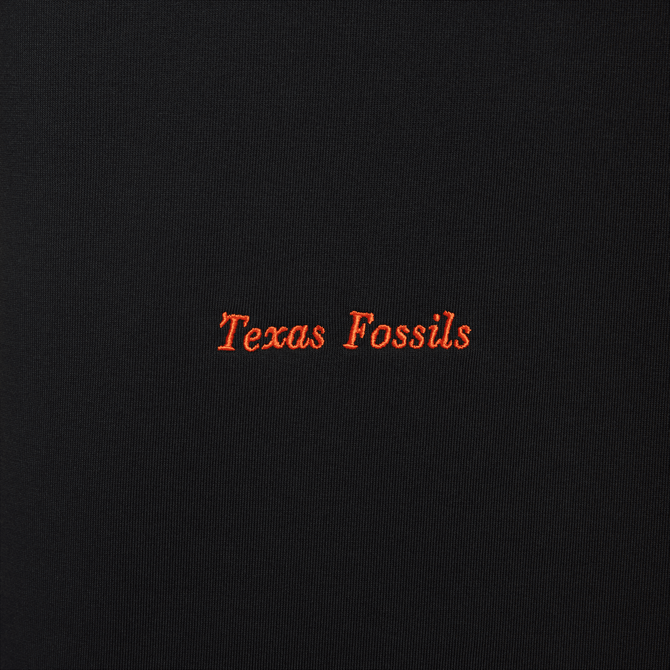 NIKE AS M ACG TEE OC FOSSILS