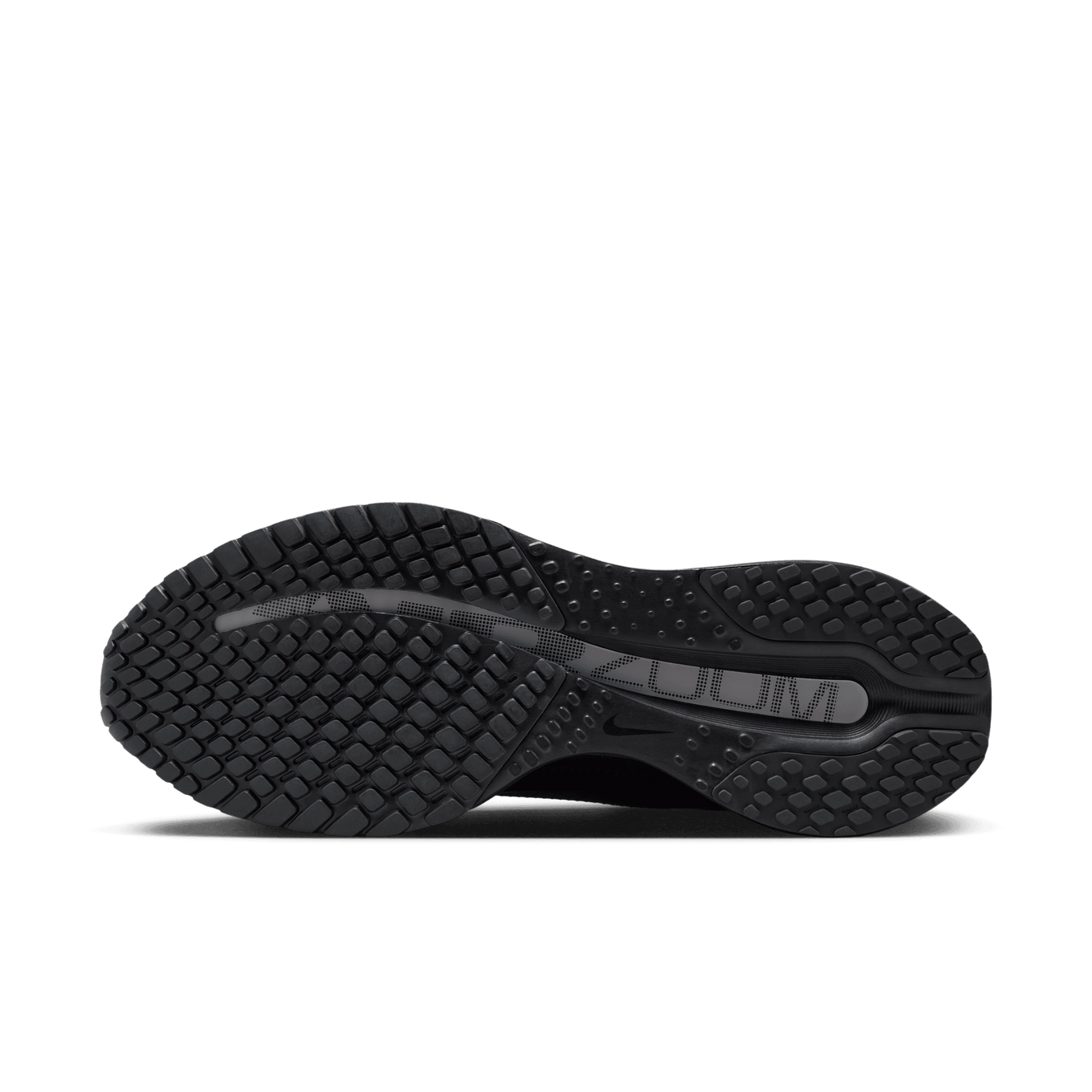 NIKE PEGASUS PREMIUM SP