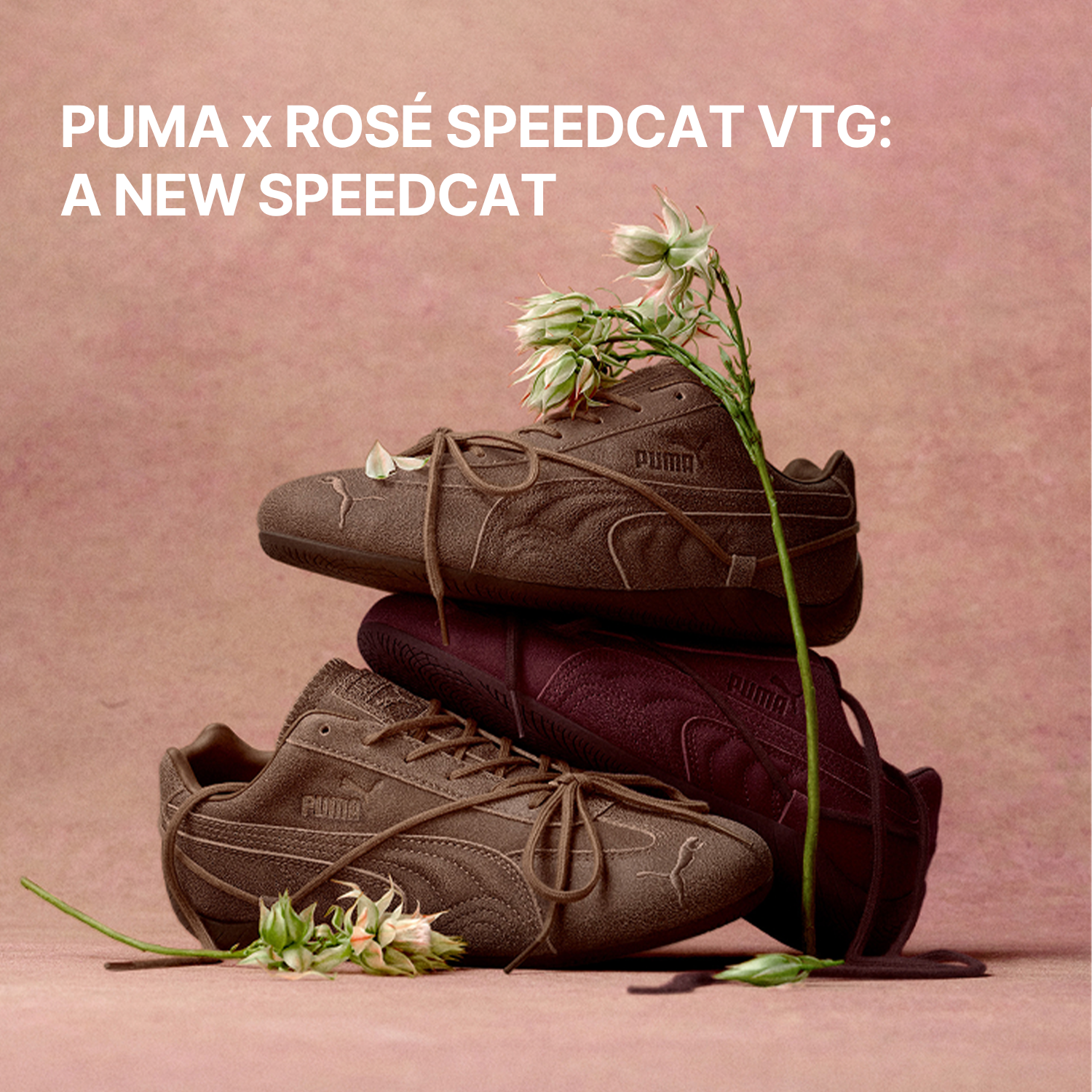 launch-product-banner