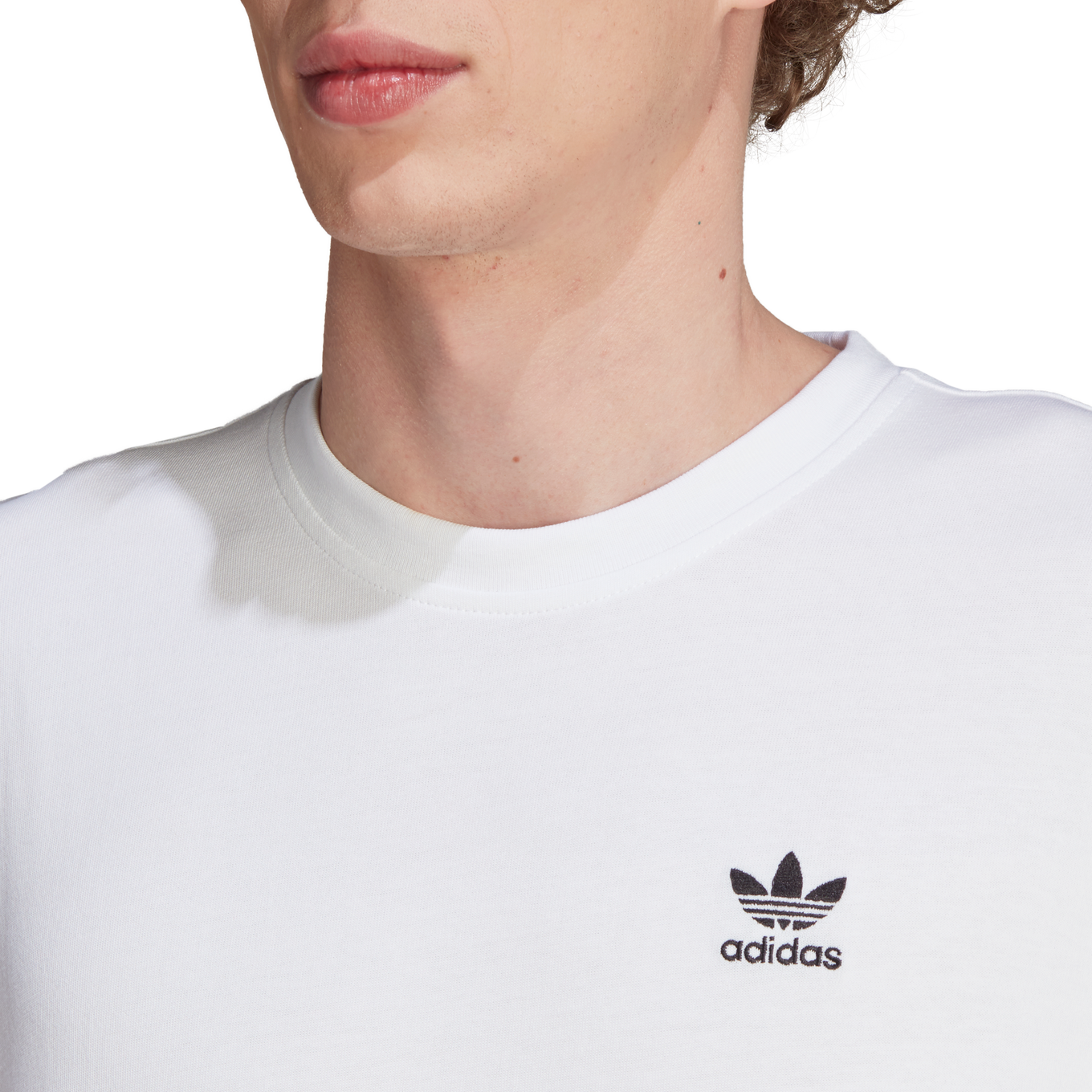 ADIDAS B F TREFOIL TEE ADIDAS B F TREFOIL TEE