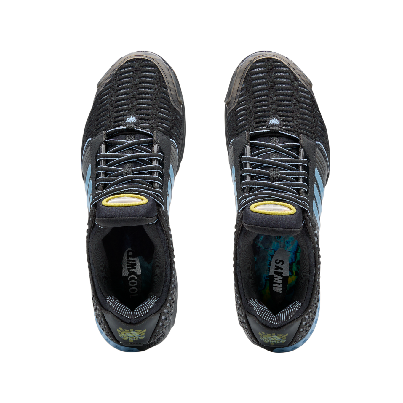 ADIDAS ADWYSD CLIMACOOL 1