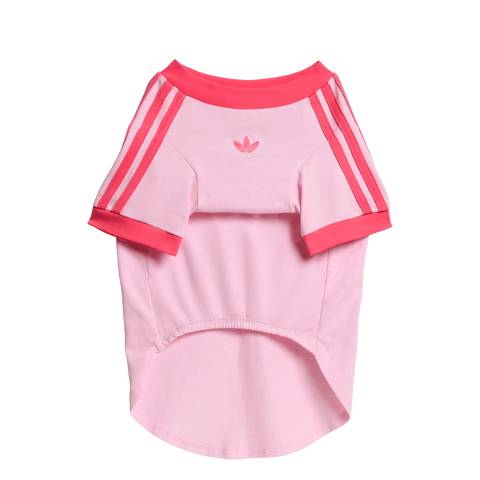 ADIDAS PET CALI TEE
