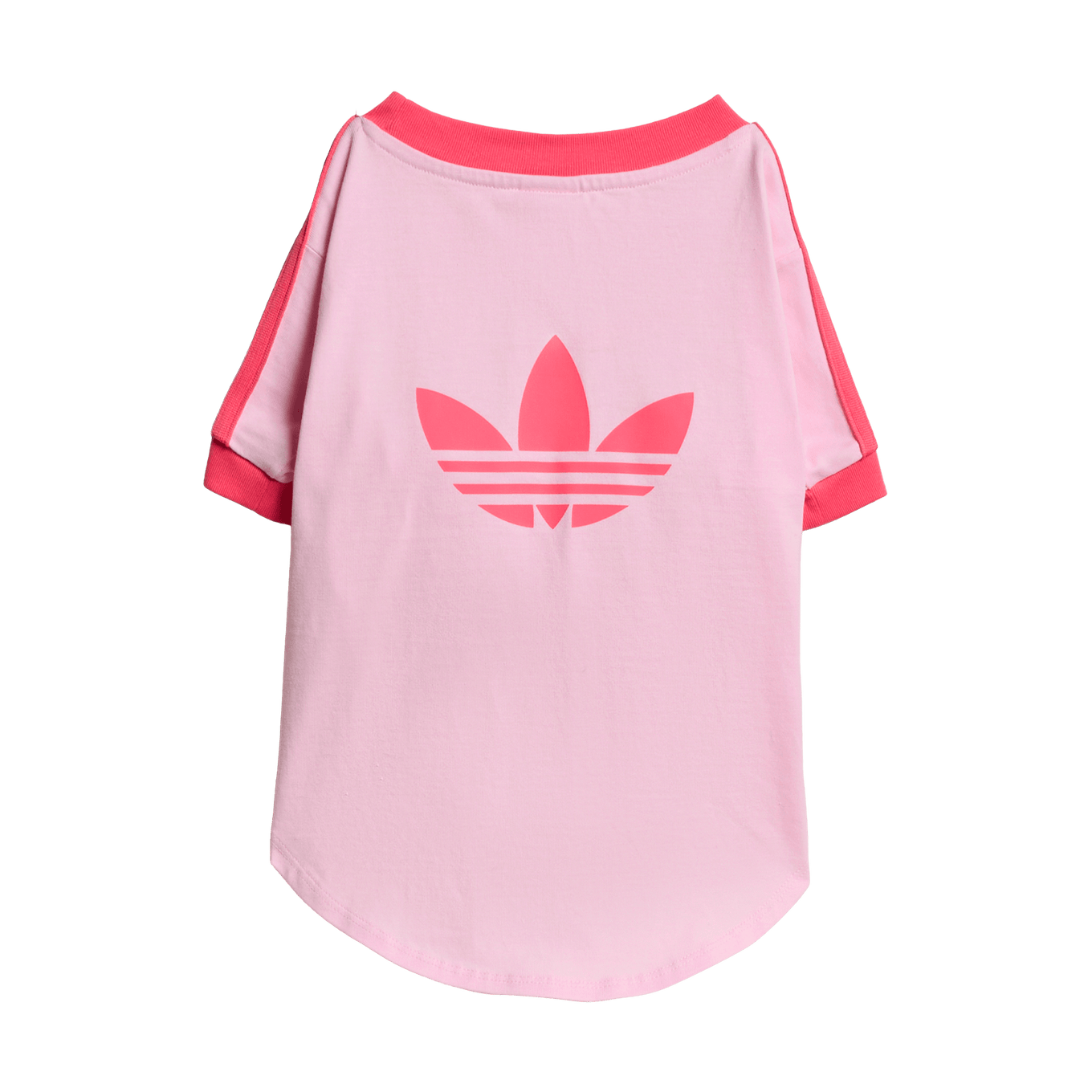 ADIDAS PET CALI TEE