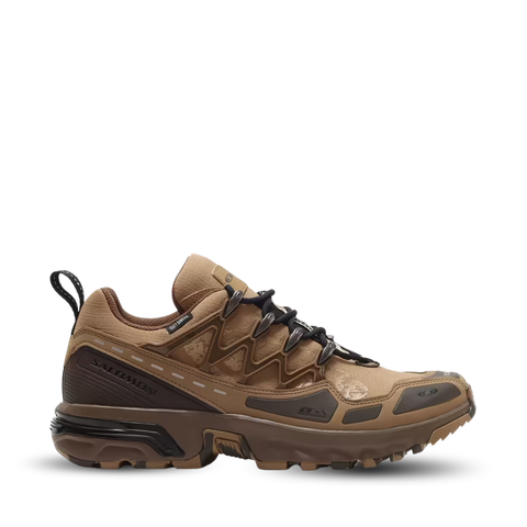 Salomon Salomon
