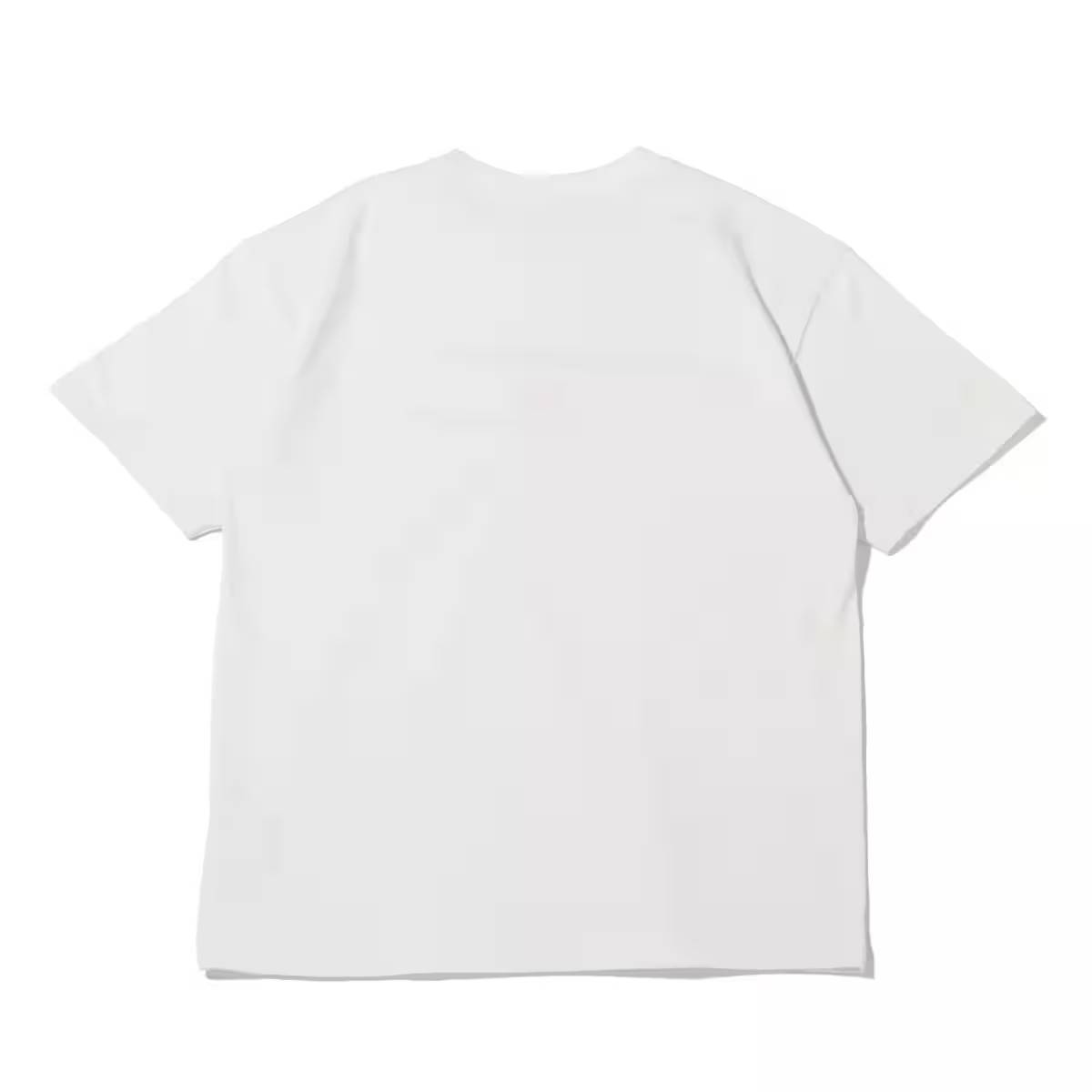 NIKE AS M NRG ACG SS TEE LBR LUNGS