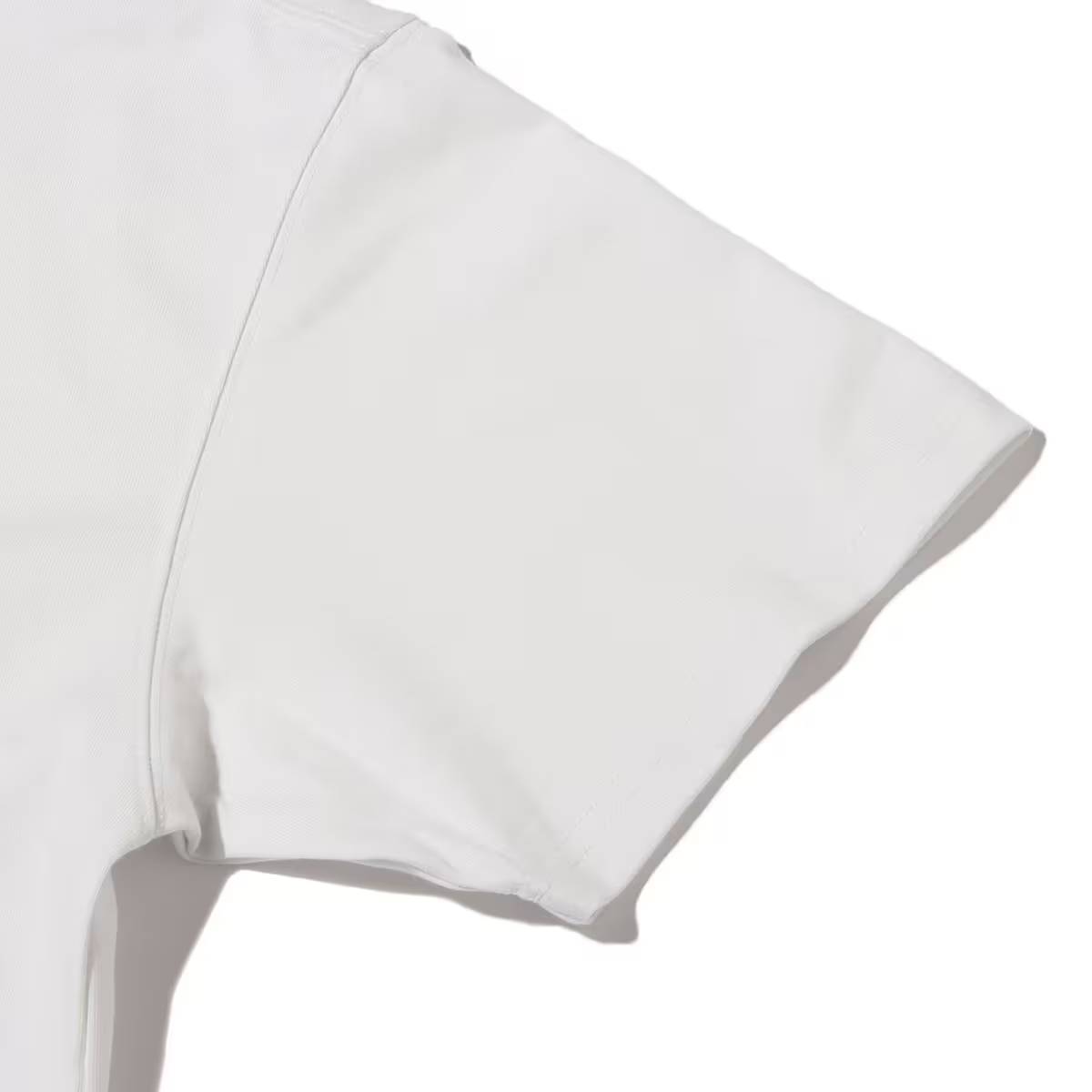 NIKE AS M NRG ACG SS TEE LBR LUNGS